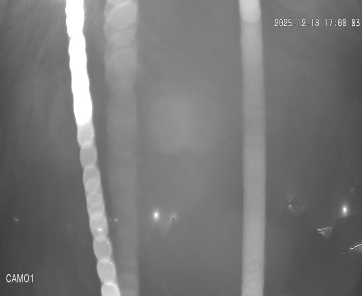 Meteo kamera obec Velčice